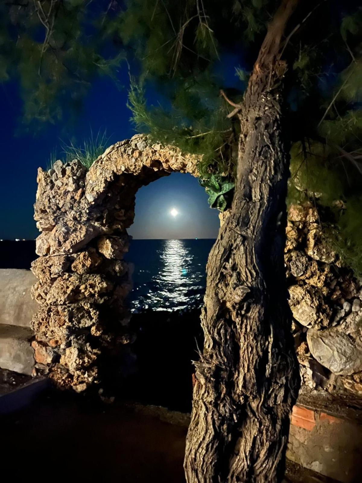 Pis La Rapita Appartement Alcanar Buitenkant foto
